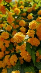 333D4FDF-19D7-4FC0-854D-409327570EB1/L0/001
