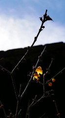 E30EE792-2CA6-486E-8B4C-BC4B2E30F71B/L0/001