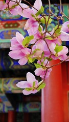6DAE6D6F-7FD1-4F11-9988-B9515AE218D6/L0/001