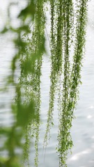 B36D3E3C-67A0-400D-8C4E-F37E543F34BF/L0/001