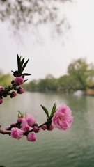 02FB0714-68EA-4F57-8FC4-A9237FCD6BB5/L0/001