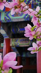 7F6C681E-A236-4B87-B105-6B24571A9BF4/L0/001