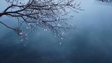 6F002B98-4465-4378-BFBD-25B75EB99E10/L0/001