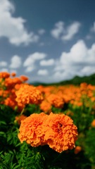 D9057848-E709-438B-8848-E78243548657/L0/001