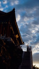 D7853610-CF80-4CA4-AAE5-EC0B6B441784/L0/001