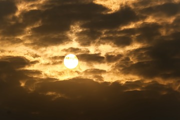 508D9B16-F933-4F07-959D-46FBC0ACEE09/L0/001