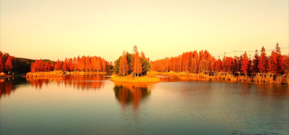青浦郊野公园上海红树林冬天景色之美