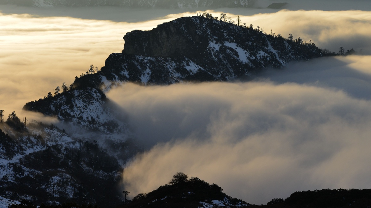 天地之间灵气自然