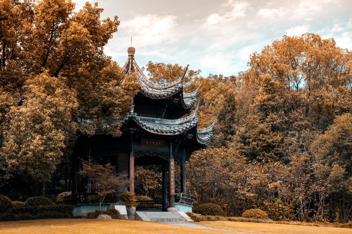 浙大秋景拍摄于某个夏天的午后