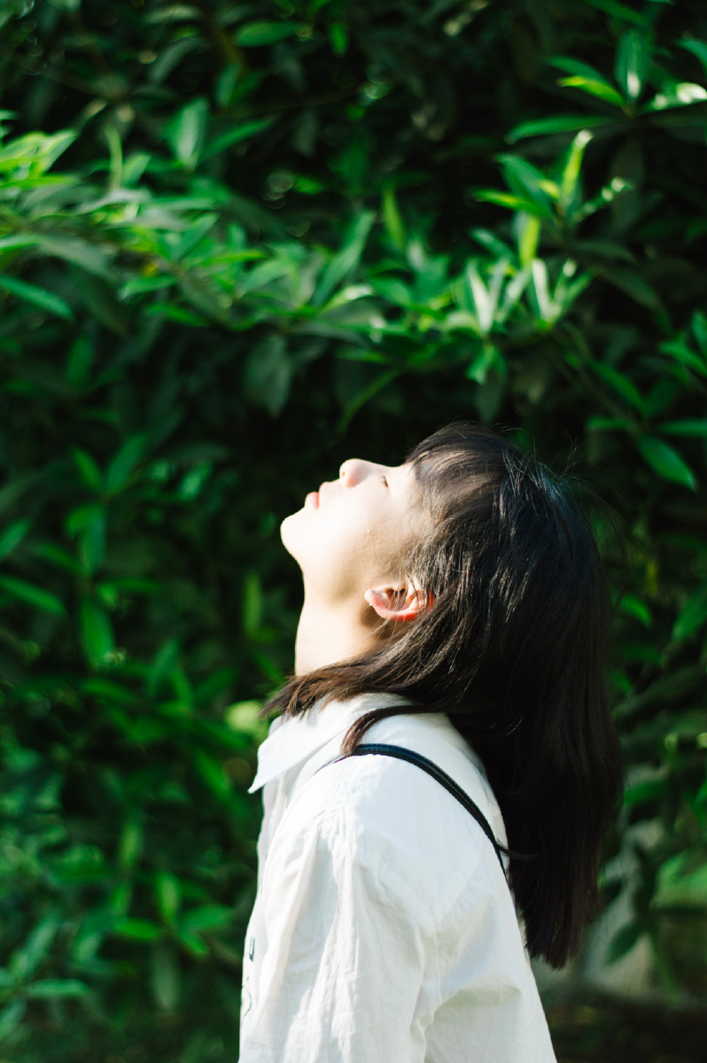 春雨里洗过的太阳