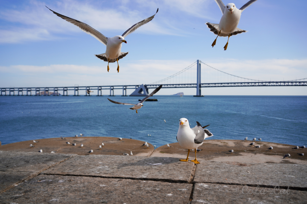 一个充满活力的城市