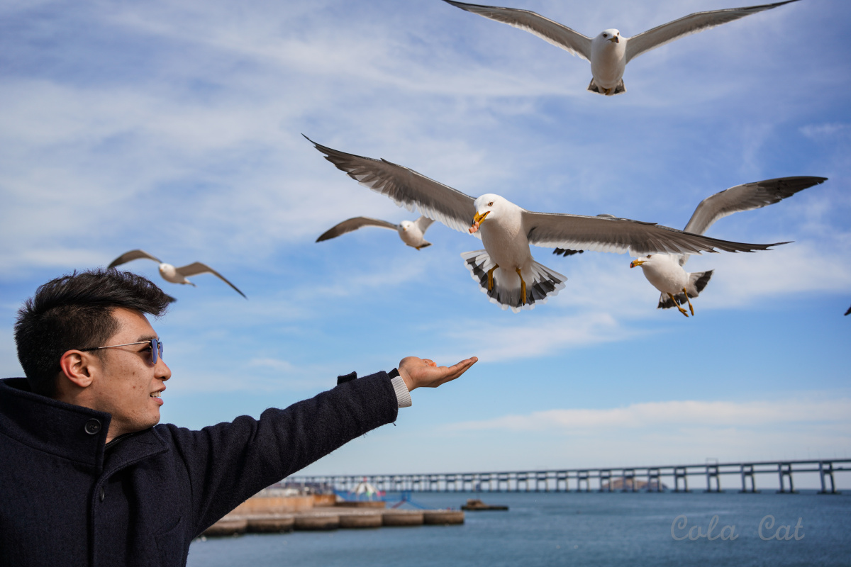 一个充满活力的城市