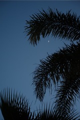 ADE7D2A6-26D6-419F-972E-B284309744C6/L0/001