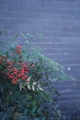 E907028E-50F3-417B-9FD1-93A2FA742990/L0/001