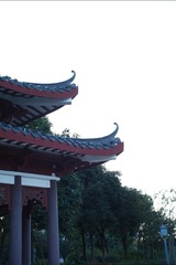 3111CD0E-595C-4743-A5F1-A24B56B6745C/L0/001