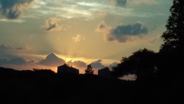 20117