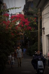 E293F733-42DB-47AC-B69B-5704AB9BA375/L0/001