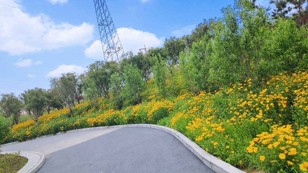 星期天去的郑州西流湖公园一个人走了很久很久才走了一半的路程