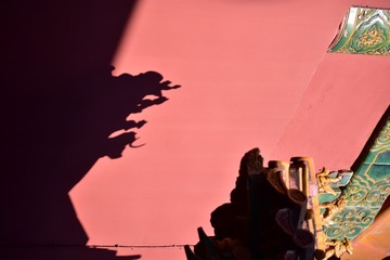 562281