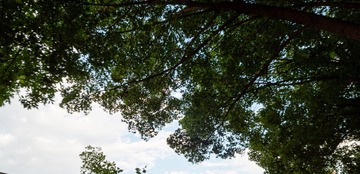 EF76D492-D08C-4329-A95F-C6AA41C20FF1/L0/001