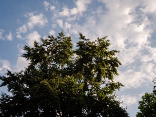 266DA2C8-9FF7-4E64-81D4-3B3A02FFBC6D/L0/001