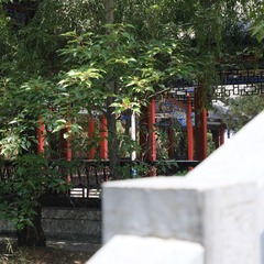 A0338E9B-F9B2-4CA3-8554-6CD82F22011A/L0/001