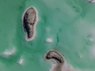 209026