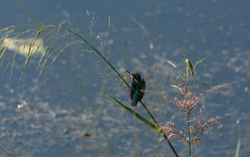 DSC_9572x