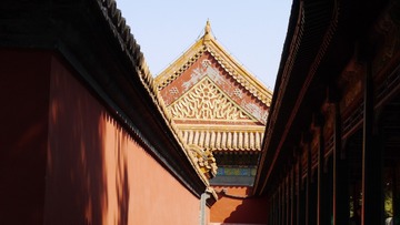 P1060203