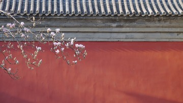 P1060247