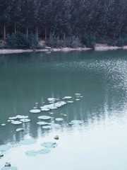 1000047461