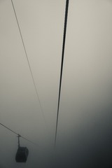 Optional(