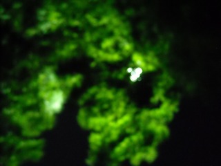 1A5FBC11-76C9-4C2C-84FF-413BF4F1B590/L0/001