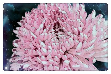 2B140277-691E-469A-85B0-8BC3D9A93E63/L0/001