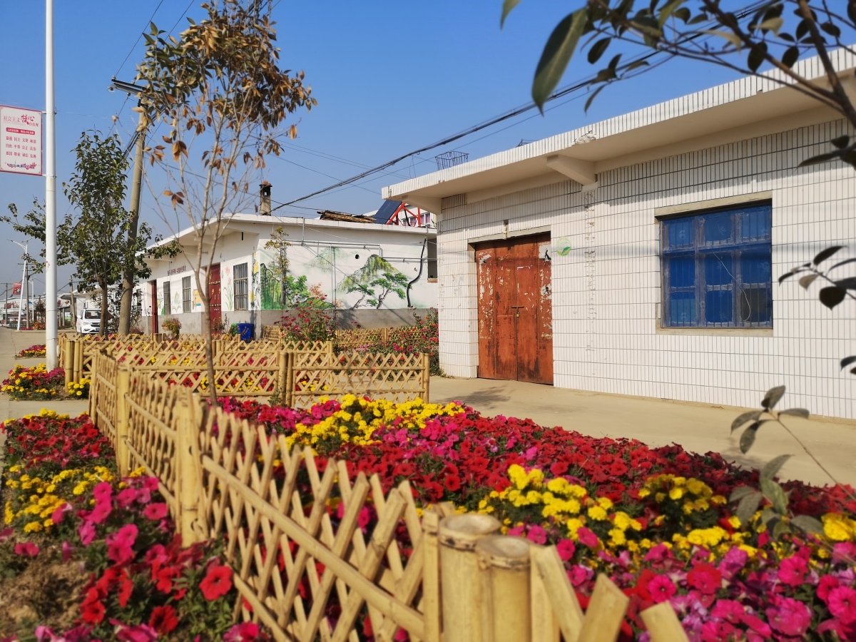 寿县美丽乡村涧沟镇黑龙中心村