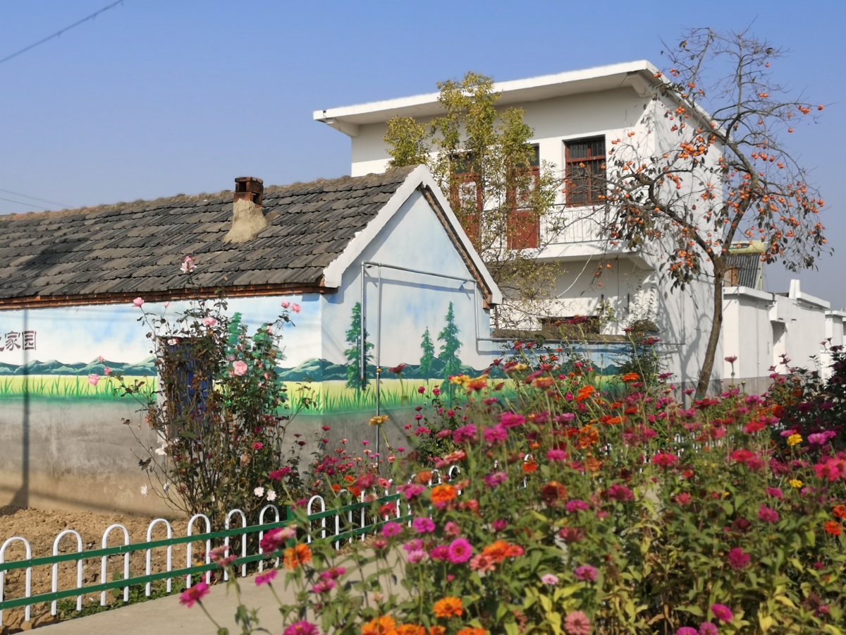 寿县美丽乡村涧沟镇黑龙中心村