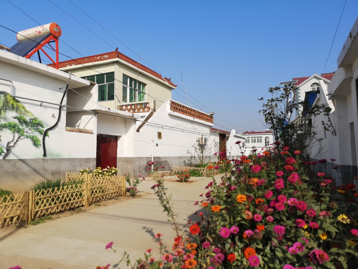 寿县美丽乡村涧沟镇黑龙中心村