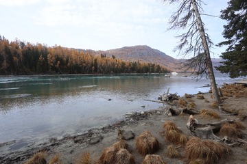 IMG_4883