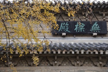 5832C7C5-A001-4B51-B200-DB8CAF7BF64F/L0/001