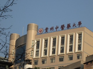 83F583F2-3D86-416F-A6D4-0A92FA418F45/L0/001