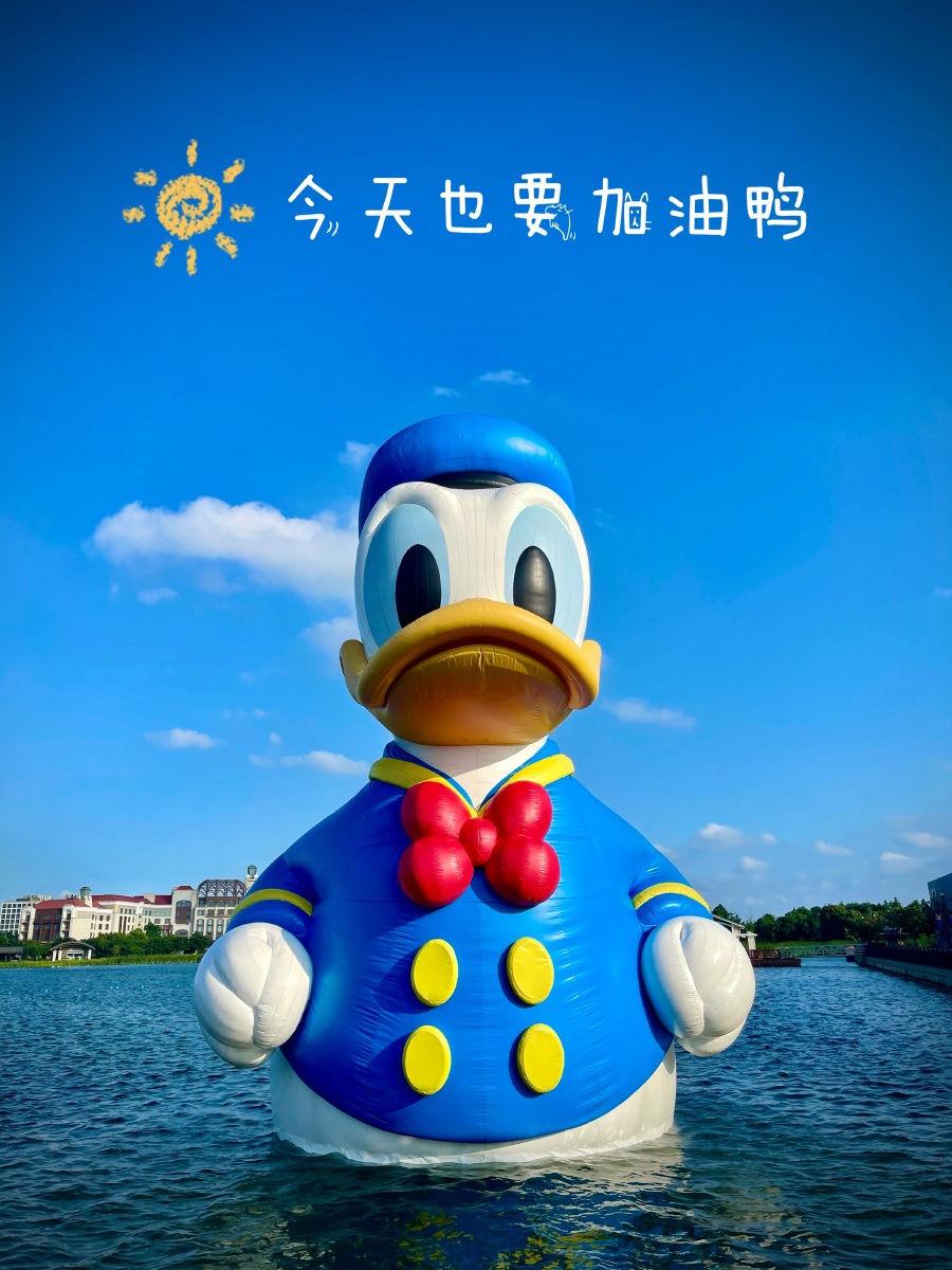 今天也要加油鸭