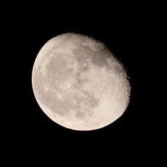 2632530