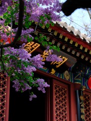 8F221491-D683-4A81-99E6-74616C9ACFBB/L0/001