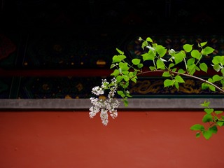 5F2C0A51-887C-4B09-8931-8865399DDD22/L0/001