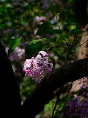 6384E193-D0BE-469F-86E7-0F44AD88E45E/L0/001
