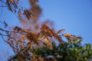9AF2859C-2487-4CF8-9E08-77A6BDF4D291/L0/001