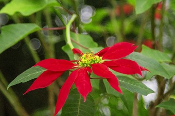 FA2618F7-60AC-4AB5-A4A9-93D7C56EFC66/L0/001