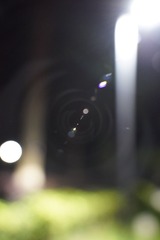 CC8923BD-08C1-4603-B922-2D7DFD224462/L0/001