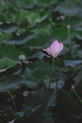 E2C5D58D-95F5-4CB4-A6FF-76DD1E9EC106/L0/001