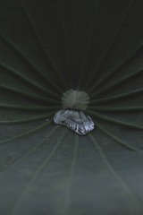 3590E212-7481-47A9-8929-FC24B929D48F/L0/001